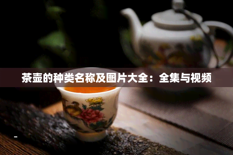 茶壶的种类名称及图片大全：全集与视频