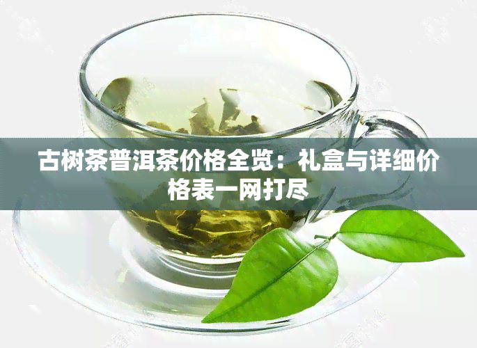 古树茶普洱茶价格全览：礼盒与详细价格表一网打尽