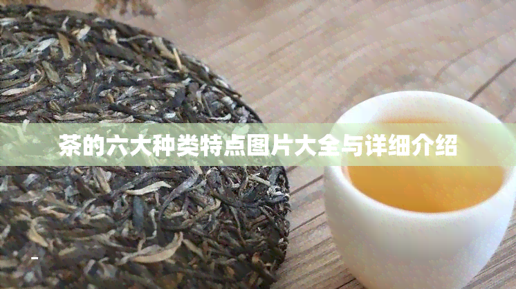 茶的六大种类特点图片大全与详细介绍