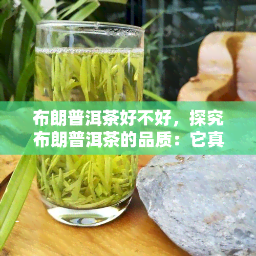 布朗普洱茶好不好，探究布朗普洱茶的品质：它真的好吗？