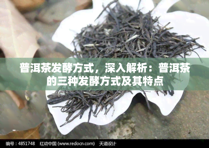 普洱茶发酵方式，深入解析：普洱茶的三种发酵方式及其特点