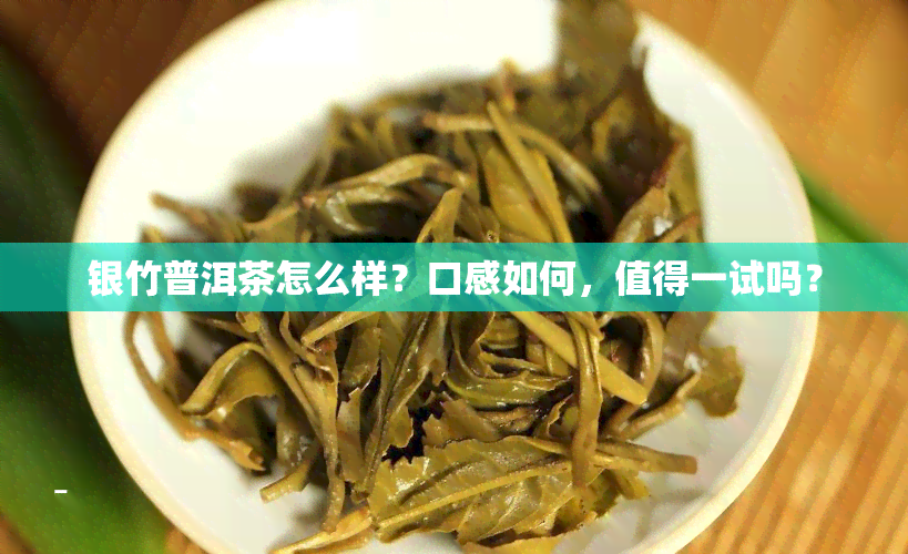 银竹普洱茶怎么样？口感如何，值得一试吗？