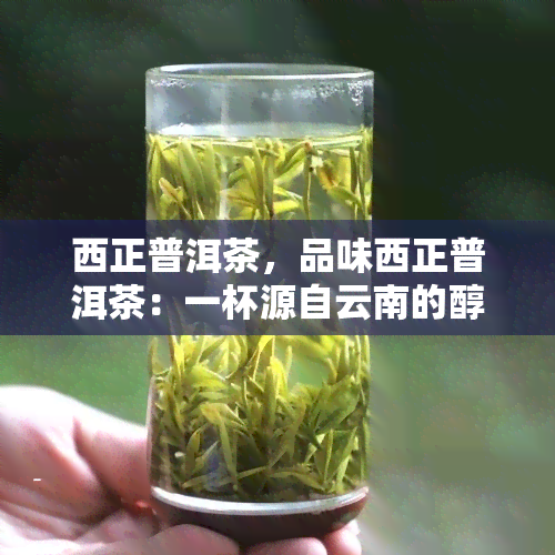 西正普洱茶，品味西正普洱茶：一杯源自云南的醇厚享受