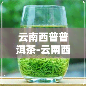 云南西普普洱茶-云南西普普洱茶价格表