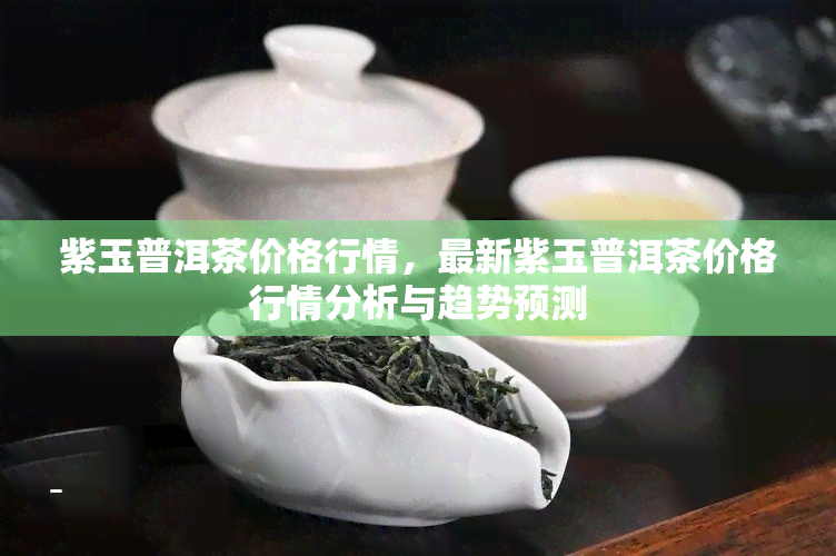 紫玉普洱茶价格行情，最新紫玉普洱茶价格行情分析与趋势预测