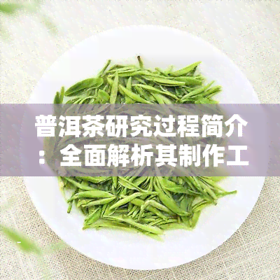 普洱茶研究过程简介：全面解析其制作工艺与历文化