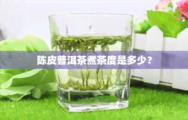 陈皮普洱茶煮茶度是多少？