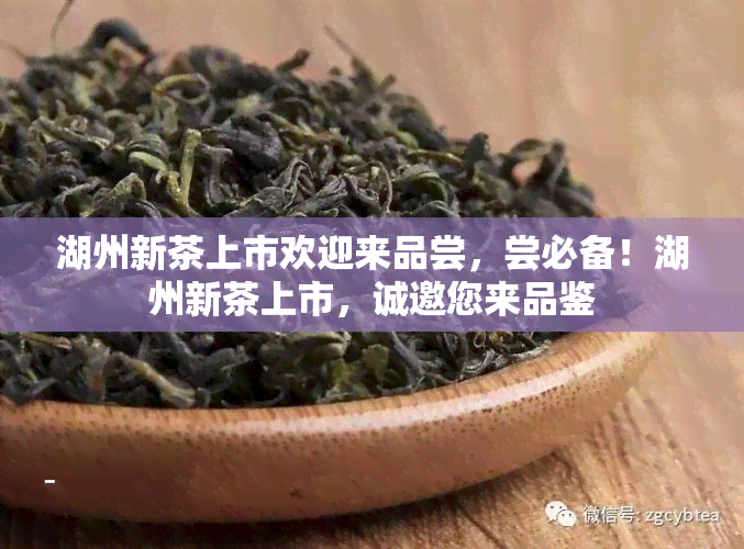 湖州新茶上市欢迎来品尝，尝必备！湖州新茶上市，诚邀您来品鉴