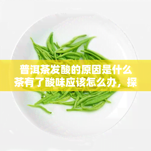 普洱茶发酸的原因是什么茶有了酸味应该怎么办，探究普洱茶发酸原因及解决方法