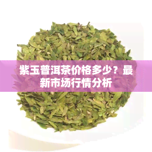 紫玉普洱茶价格多少？最新市场行情分析