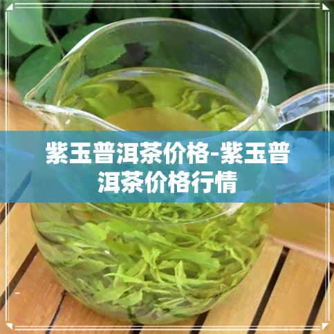 紫玉普洱茶价格-紫玉普洱茶价格行情