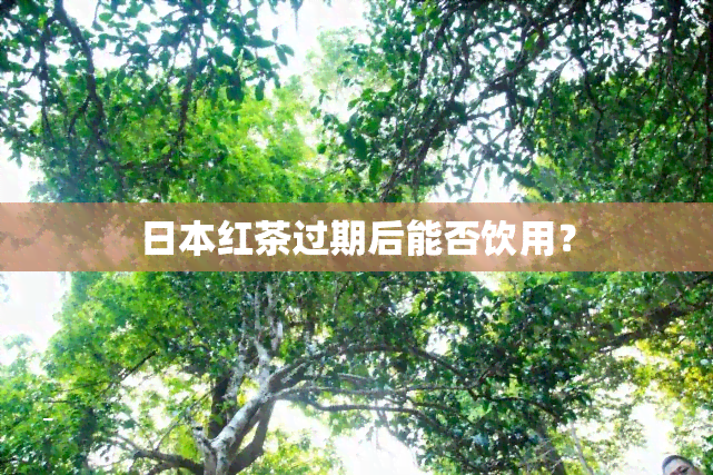 红茶过期后能否饮用？