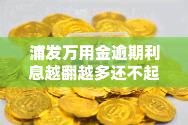 浦发万用金逾期利息越翻越多还不起怎么办，浦发万用金逾期：利息翻倍，如何应对还款难题？