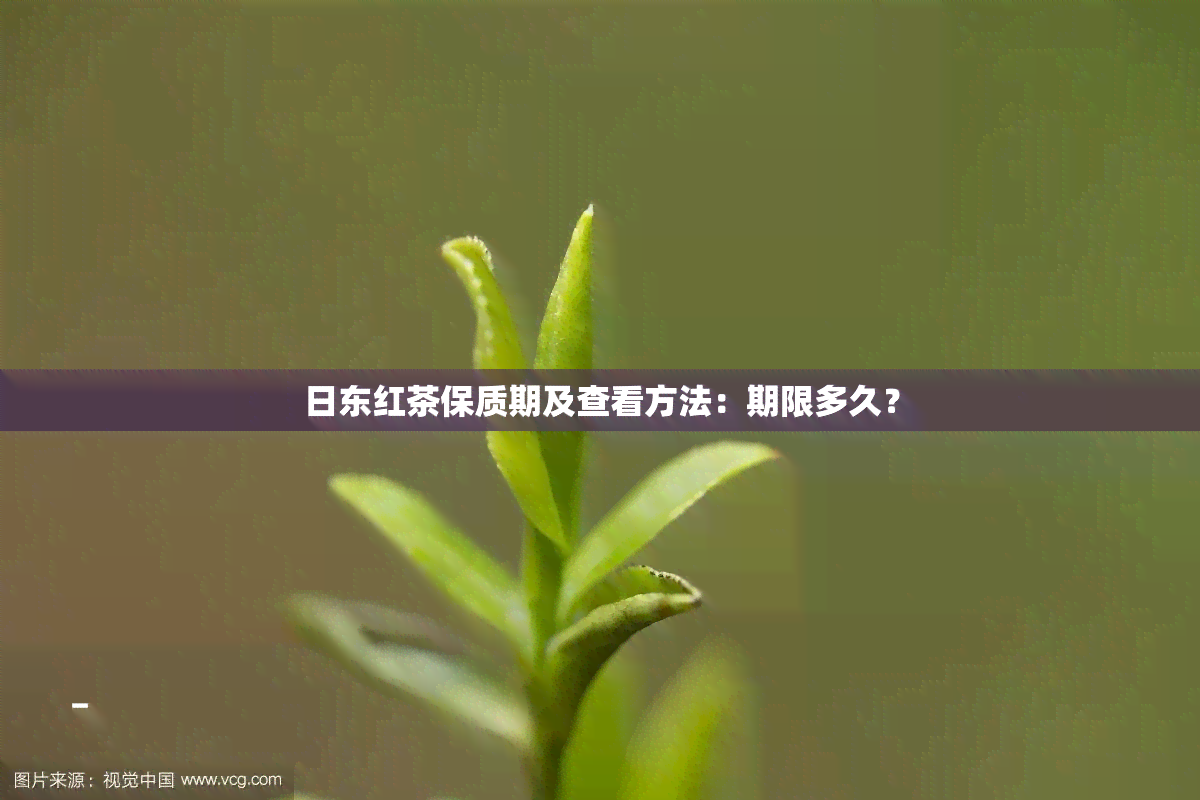 日东红茶保质期及查看方法：期限多久？