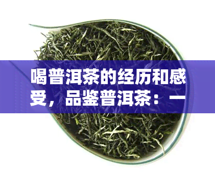 喝普洱茶的经历和感受，品鉴普洱茶：一次独特的味觉与心绪之旅