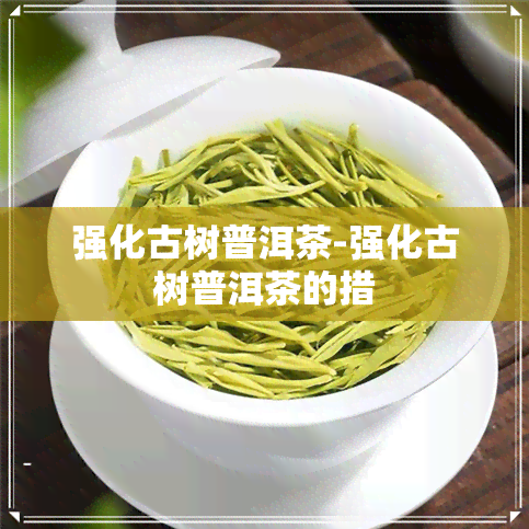 强化古树普洱茶-强化古树普洱茶的措