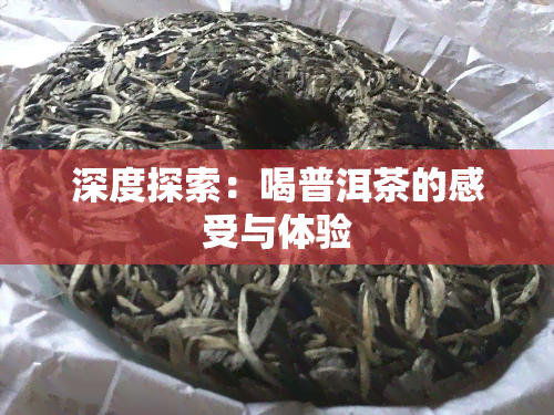 深度探索：喝普洱茶的感受与体验