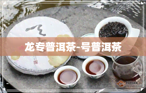 龙专普洱茶-号普洱茶