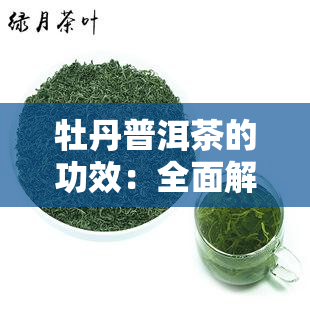 牡丹普洱茶的功效：全面解析与比较