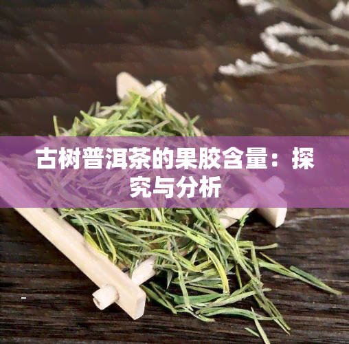 古树普洱茶的果胶含量：探究与分析