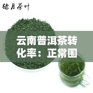 云南普洱茶转化率：正常围与高值解析