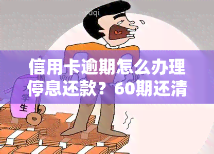 信用卡逾期怎么办理停息还款？60期还清详细手续攻略