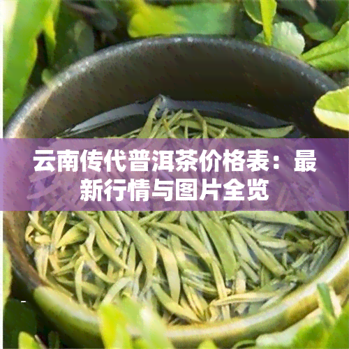 云南传代普洱茶价格表：最新行情与图片全览