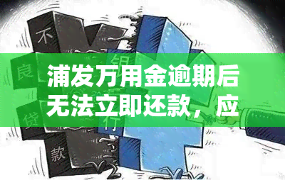 浦发万用金逾期后无法立即还款，应该如何处理？