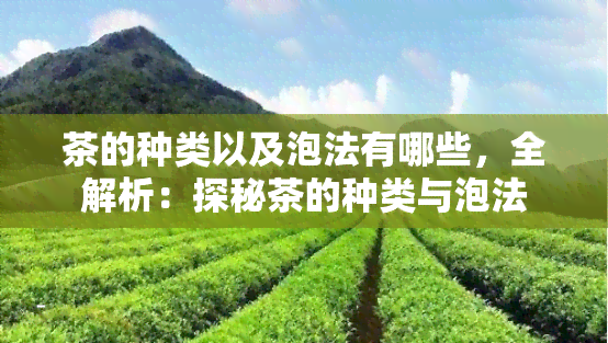 茶的种类以及泡法有哪些，全解析：探秘茶的种类与泡法