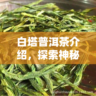 白塔普洱茶介绍，探索神秘的白塔普洱茶世界