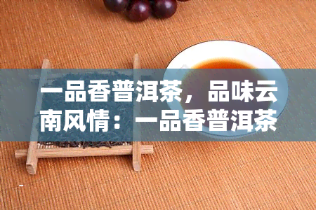 一品香普洱茶，品味云南风情：一品香普洱茶的魅力探索