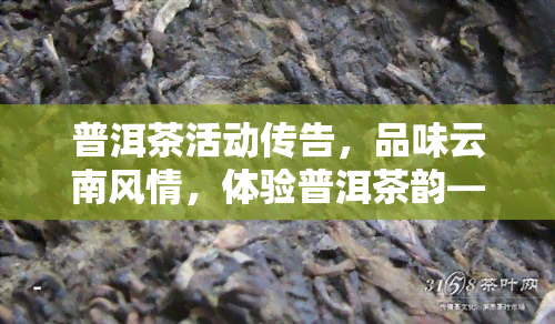 普洱茶活动传告，品味云南风情，体验普洱茶韵——诚邀您参加我们的普洱茶活动！