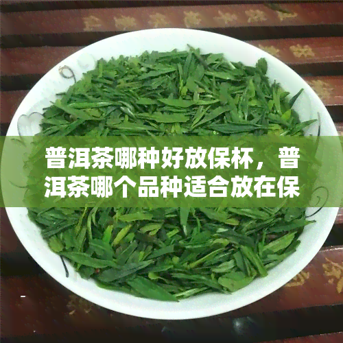 普洱茶哪种好放保杯，普洱茶哪个品种适合放在保杯中保存？