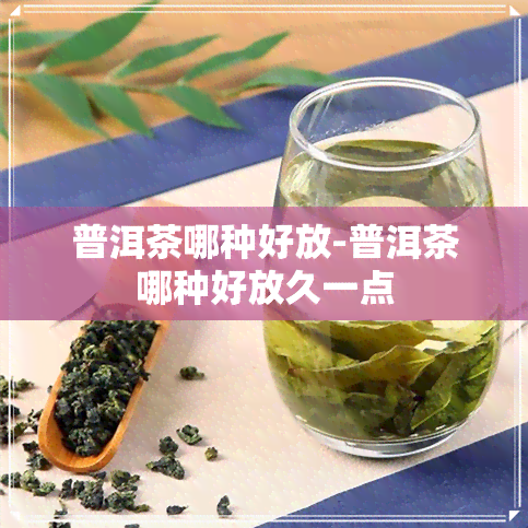 普洱茶哪种好放-普洱茶哪种好放久一点