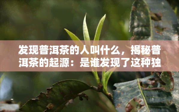 发现普洱茶的人叫什么，揭秘普洱茶的起源：是谁发现了这种独特的茶叶？