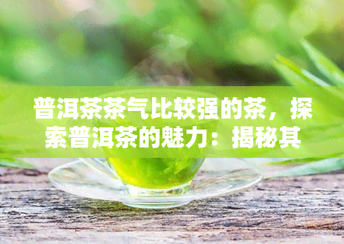 普洱茶茶气比较强的茶，探索普洱茶的魅力：揭秘其强烈的茶气