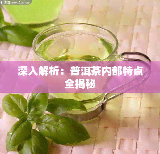 深入解析：普洱茶内部特点全揭秘