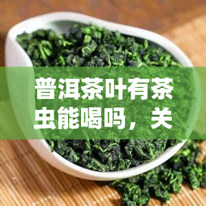 普洱茶叶有茶虫能喝吗，关于普洱茶叶的茶虫问题：能否饮用？