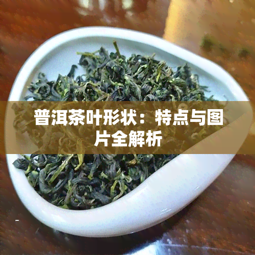 普洱茶叶形状：特点与图片全解析