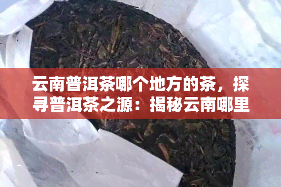 云南普洱茶哪个地方的茶，探寻普洱茶之源：揭秘云南哪里的普洱茶品质？