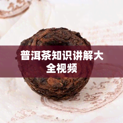 普洱茶知识讲解大全视频