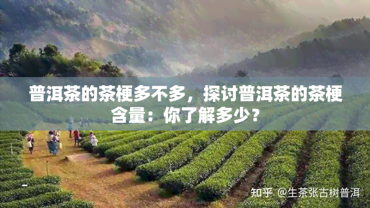 普洱茶的茶梗多不多，探讨普洱茶的茶梗含量：你了解多少？