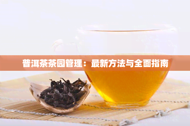 普洱茶茶园管理：最新方法与全面指南