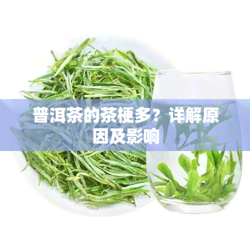 普洱茶的茶梗多？详解原因及影响