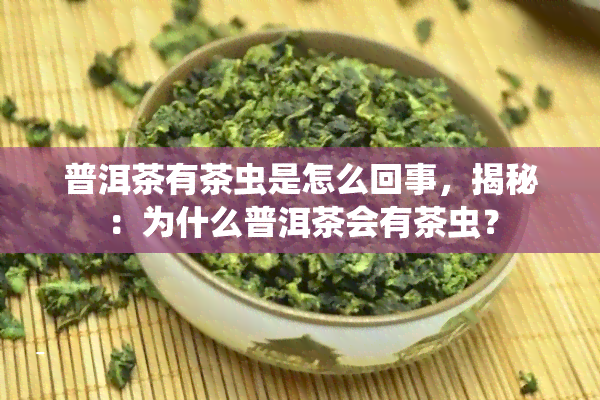 普洱茶有茶虫是怎么回事，揭秘：为什么普洱茶会有茶虫？