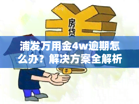 浦发万用金4w逾期怎么办？解决方案全解析