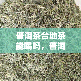 普洱茶台地茶能喝吗，普洱茶台地茶，你值得品尝！