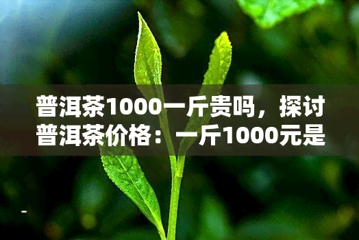 普洱茶1000一斤贵吗，探讨普洱茶价格：一斤1000元是否算贵？