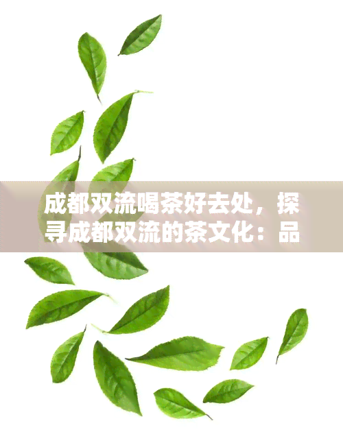 成都双流喝茶好去处，探寻成都双流的茶文化：品茗去处推荐