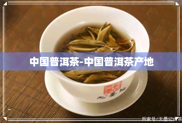 中国普洱茶-中国普洱茶产地